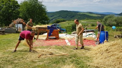 Mlátenie slamy cepmi a vyčesávanie slamených stebiel