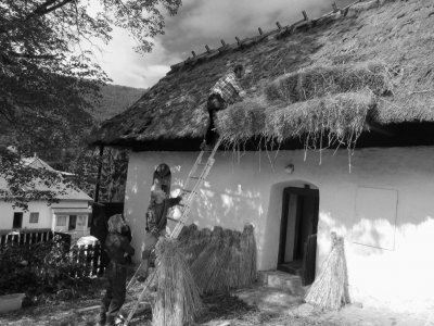 Ukladanie slamených snopov na strechu v Hrušove